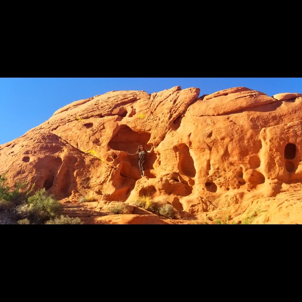 Meet your Posher, Bianca